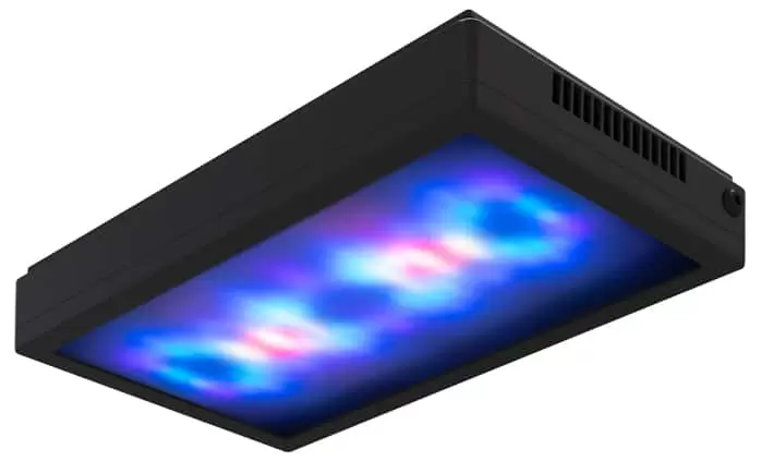 Difusor Radion XR30G5 – Ecotech Marine - Imagen 2