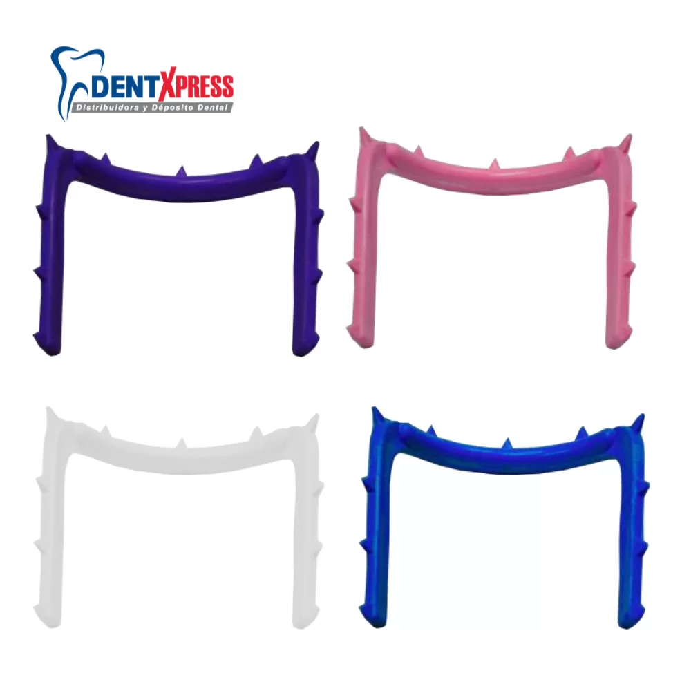 Arco de Young Adulto