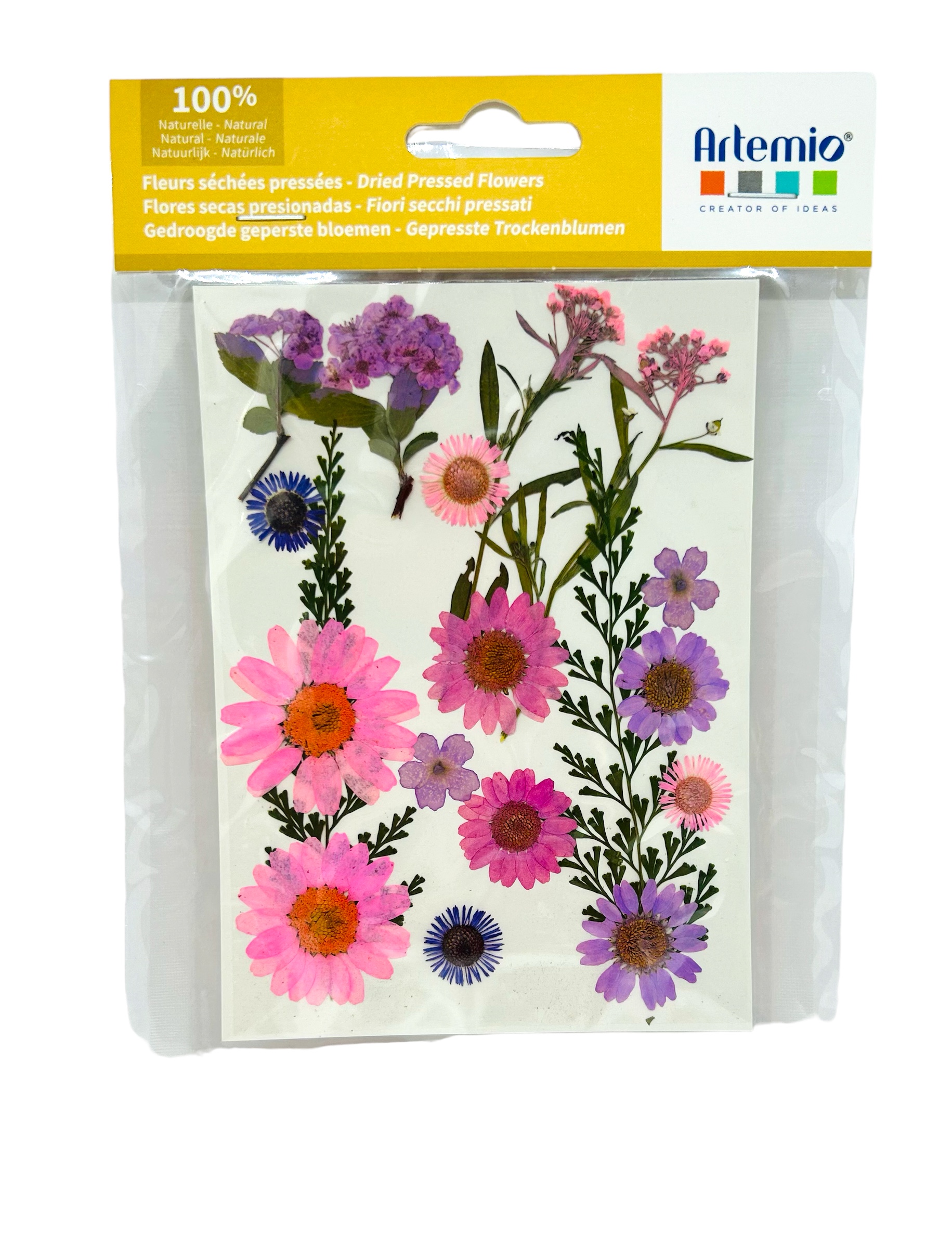 Flores secas presionadas naturales en rosa y lila
