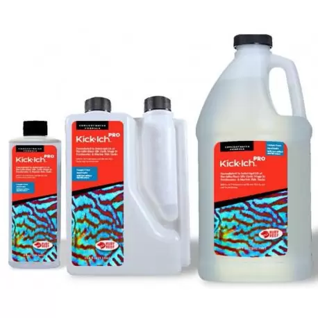 Kick-ich Pro (Desde 500ml hasta 2L) – Ruby Reef